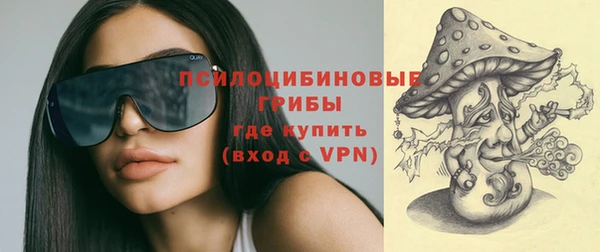 прущий лед Алзамай
