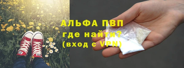 твердый Медногорск