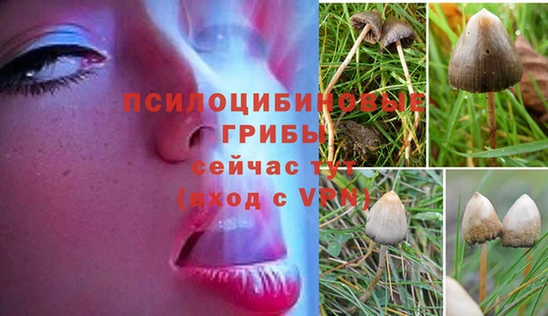 прущий лед Алзамай