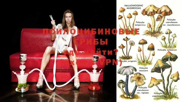 2c-b Медвежьегорск