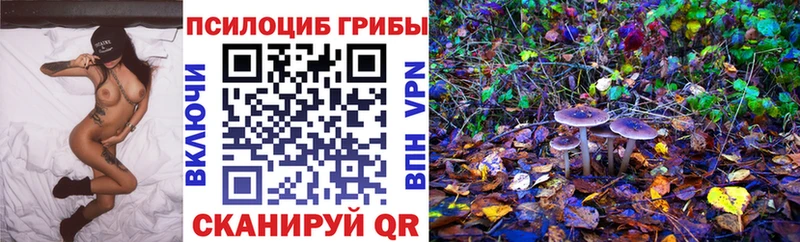Галлюциногенные грибы Magic Shrooms Ачинск